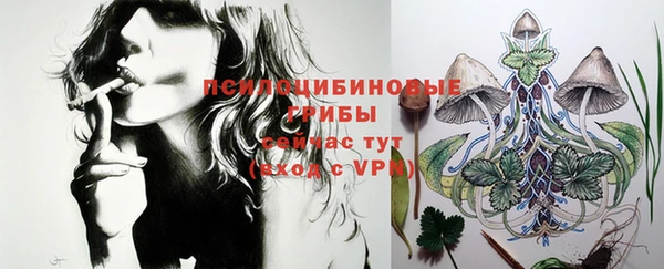 стаф Бугульма