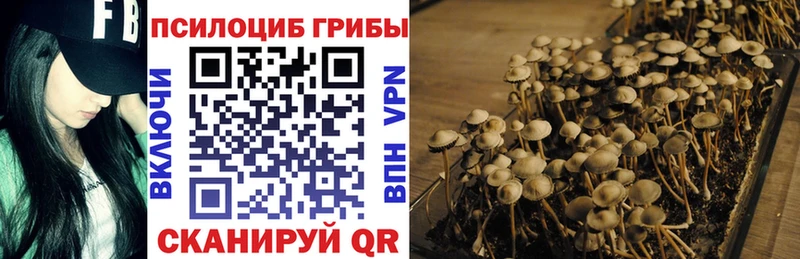 Псилоцибиновые грибы MAGIC MUSHROOMS гидра Семилуки купить наркотики сайты
