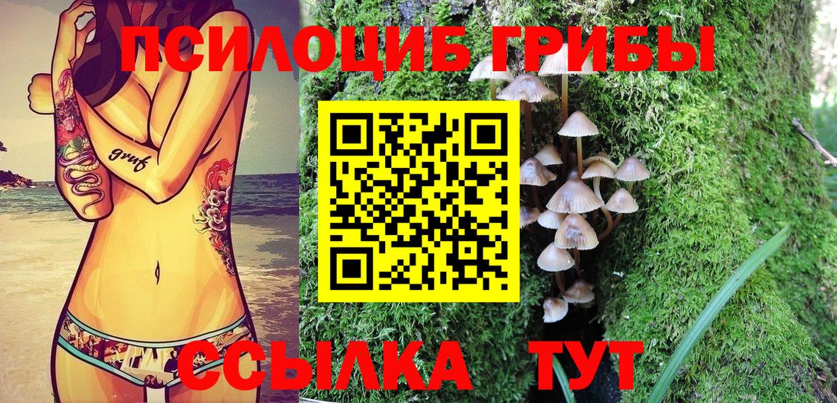закладки  Галлюциногенные грибы Magic Shrooms  Вход с VPN  Семилуки 